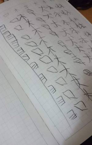 宿題で漢字の書き取りを行った息子　特徴に、ハッとした