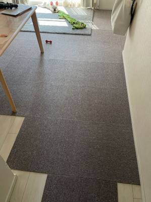 自宅の床に『落ちて』いたのは？　「かわいすぎて笑った」「置物みたい」