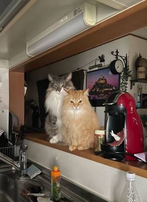 「寝坊した時、遅刻や取引先から電話が来ることよりも怖い」　その理由が…こちら