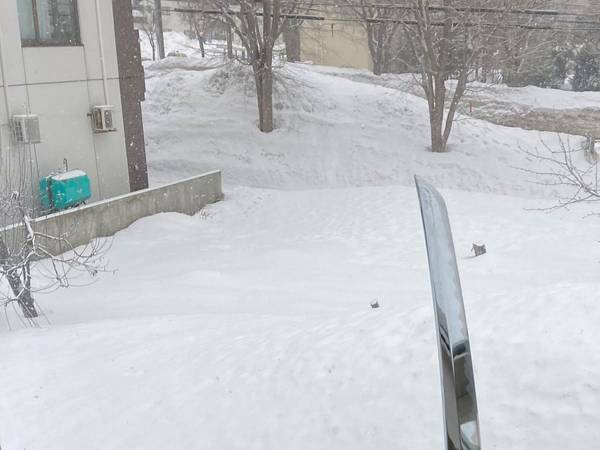 「今日、娘の恋人が泊まりに来ます♪」　父親の投稿に「声を出して笑った」「逃げてー！」