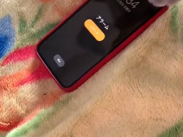 スマホからアラームが鳴ると…　「かわいいけどできれば止めないでほしい！」
