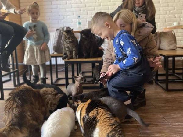 こんな時だからこそ　ウクライナで今も人々を癒し続ける『猫カフェ』