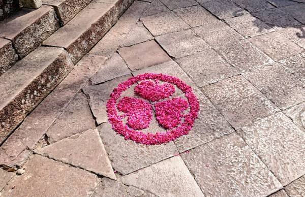 神社の境内に出現！　レアな光景に「かわいい」「ほほ笑ましい」