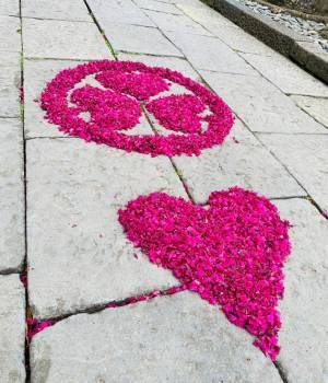 神社の境内に出現！　レアな光景に「かわいい」「ほほ笑ましい」
