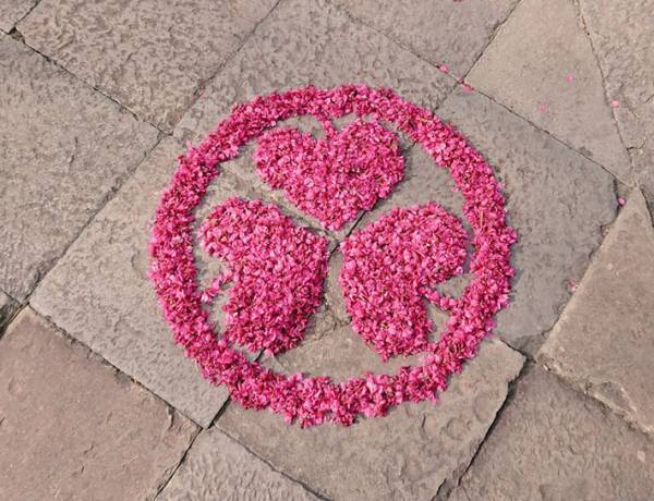 神社の境内に出現！　レアな光景に「かわいい」「ほほ笑ましい」