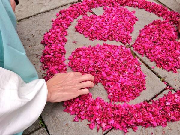 神社の境内に出現！　レアな光景に「かわいい」「ほほ笑ましい」