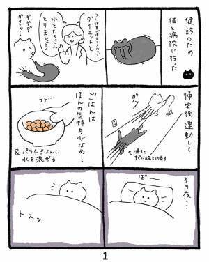 ダイエットを始めた猫　飼い主に「ご飯が少なかった」と訴え…？