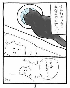 ダイエットを始めた猫　飼い主に「ご飯が少なかった」と訴え…？