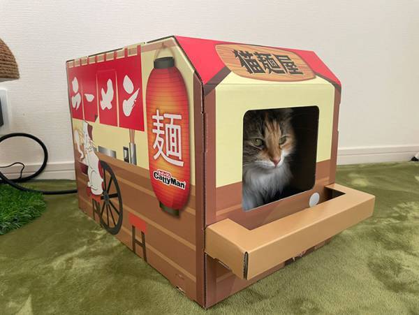 「毎日通いたい屋台ですね～！」　ラーメン店主のプロっぽい表情がこちら