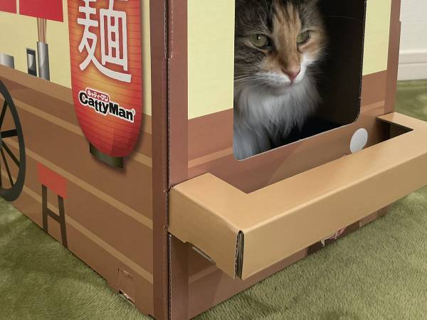 「毎日通いたい屋台ですね～！」　ラーメン店主のプロっぽい表情がこちら