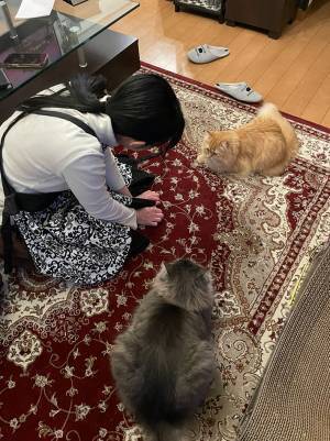 妻「晩ご飯が決まらないから家族会議よ！」　会議中の光景が、可愛すぎた