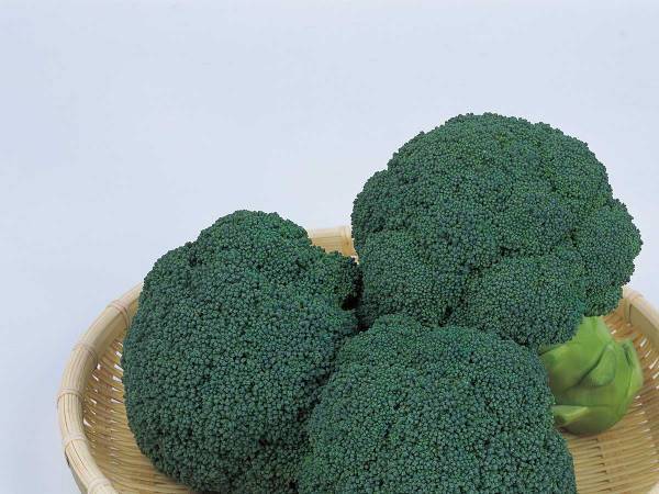 ３種類あるブロッコリーの品種名に「吹いた」「どういうことよ」