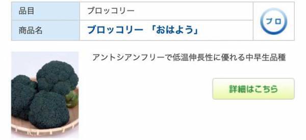 ３種類あるブロッコリーの品種名に「吹いた」「どういうことよ」