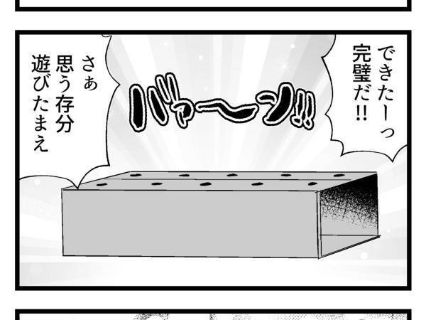 猫のため、遊び場を自作した飼い主　完成後「こうなることは分かってた」