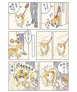 飼い主『受粉』させる犬の行動　散歩帰り、玄関口で？