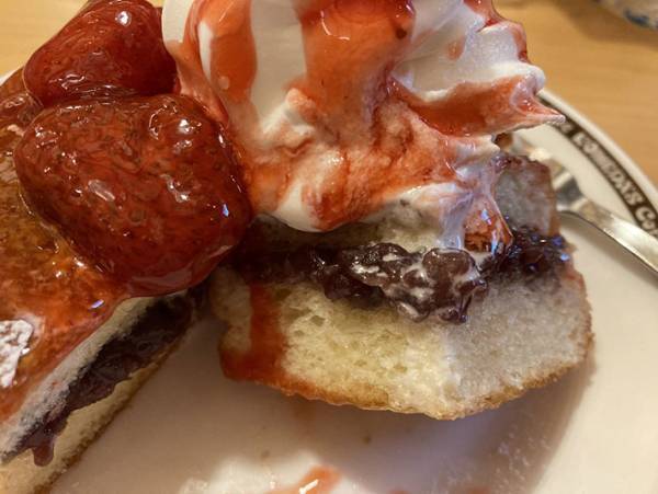 シロノワールの小倉味が絶品すぎ！コメダ珈琲店へ今日も駆け込め