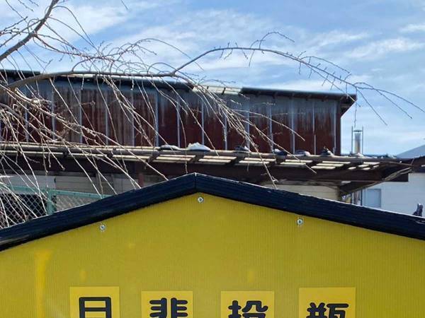 ゴミのポイ捨て禁止看板に「廃止されたはずでは…」「いつの時代よ」