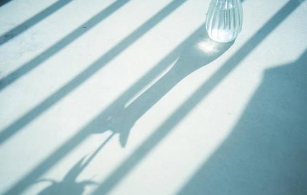 桜の季節　一年に一度の穏やかで優しい時間は、少しせつない