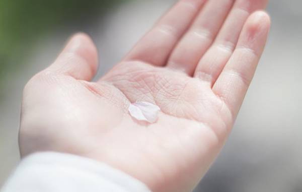 桜の季節　一年に一度の穏やかで優しい時間は、少しせつない