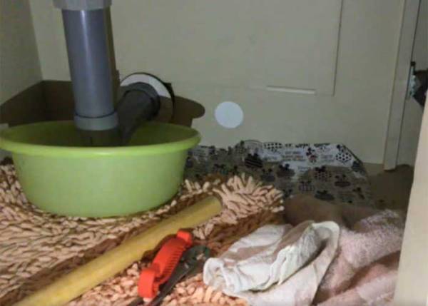 台所の排水口を塞ぎ、２日にわたり使えなくした正体に「気を付けたい…」