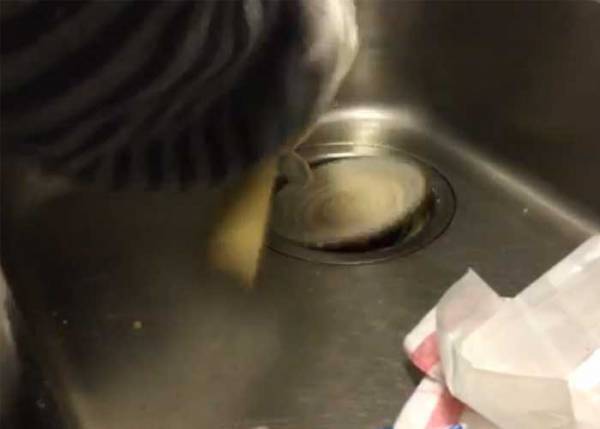 台所の排水口を塞ぎ、２日にわたり使えなくした正体に「気を付けたい…」