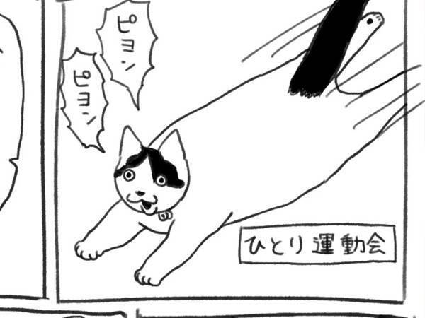 飼い主の切ない瞬間　「あるある」「めちゃくちゃ笑った」
