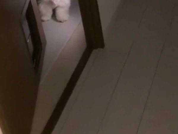 深夜０時、寝室から視線を感じ…　正体に「叫んでしまいそう！」