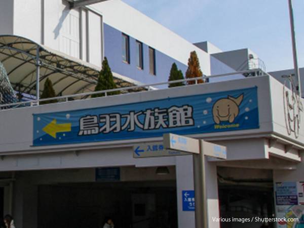 水族館が行った入社式に、二度見不可避　「すごい」「立ち会えて感動した」