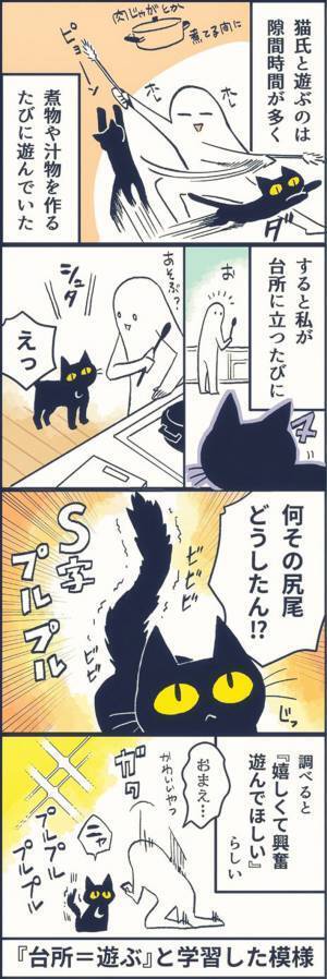 尻尾をS字にふるわせる猫　その理由を知った飼い主は？