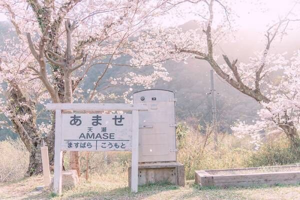どこか懐かしい『日本の春』　４枚の写真に「自然と涙が出る」「素敵！」
