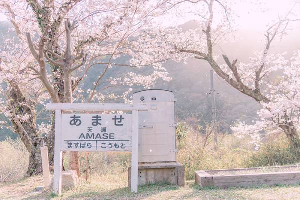 どこか懐かしい『日本の春』　４枚の写真に「自然と涙が出る」「素敵！」