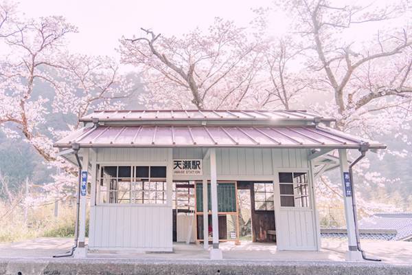 どこか懐かしい『日本の春』　４枚の写真に「自然と涙が出る」「素敵！」