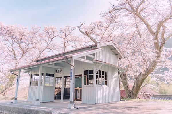 どこか懐かしい『日本の春』　４枚の写真に「自然と涙が出る」「素敵！」