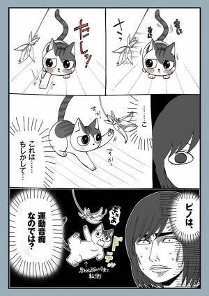 運動音痴で、ふてくされてしまった猫　飼い主がおだてると…？