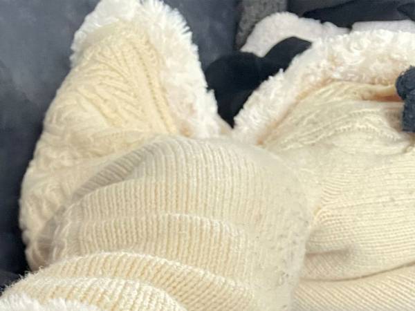 「笑った」「ツチノコか？」　生後３か月の子猫、発見された姿がコチラ