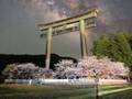 大鳥居と満開の桜　その上に写るのは？　奇跡の１枚に反響！
