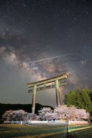 大鳥居と満開の桜　その上に写るのは？　奇跡の１枚に反響！