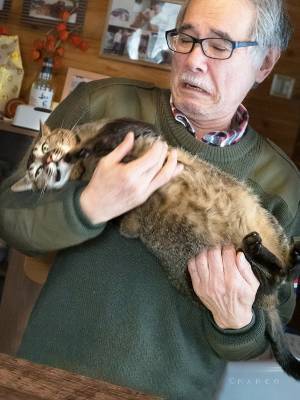 妻に「猫を抱っこしてて」と頼まれた父　展開に「めっちゃ笑った」「漫画かよ！」