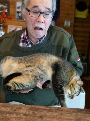 妻に「猫を抱っこしてて」と頼まれた父　展開に「めっちゃ笑った」「漫画かよ！」