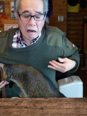 妻に「猫を抱っこしてて」と頼まれた父　展開に「めっちゃ笑った」「漫画かよ！」