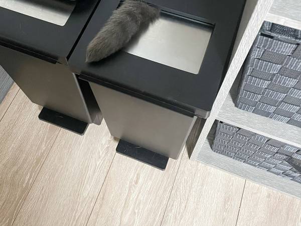 ゴミ捨てから戻ってきたら『違和感』が　正体に「二度見したわ！」「笑う」