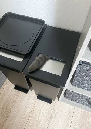 ゴミ捨てから戻ってきたら『違和感』が　正体に「二度見したわ！」「笑う」