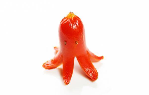 子供が泣き出す『タコさんウィンナー』！？　１枚の写真に、ネットざわつく