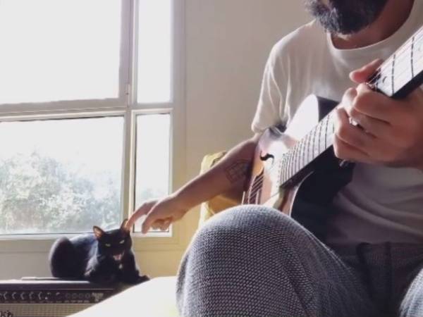 アドリブまで完ぺき！　ギターに合わせて『歌う猫』　「猫界のマライアだ」