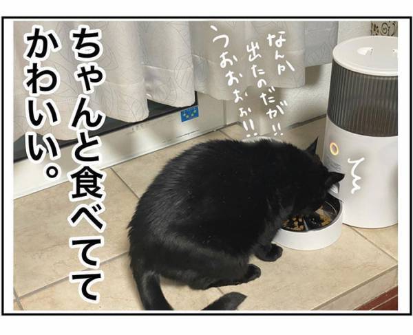 愛猫に関わるすべてがかわいい　飼い主の投稿に「ツボ」「便利な時代」