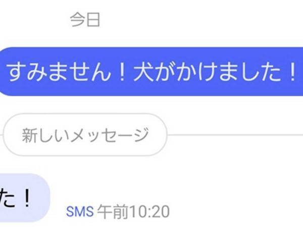 犬が間違えて取引先に電話を！　来た返信内容に「一本取られた」