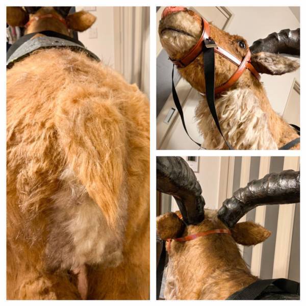 「剥製かと思った」「すごすぎる」コスプレイヤーの『作品』に驚きの声！