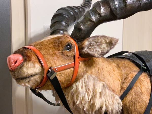 「剥製かと思った」「すごすぎる」コスプレイヤーの『作品』に驚きの声！