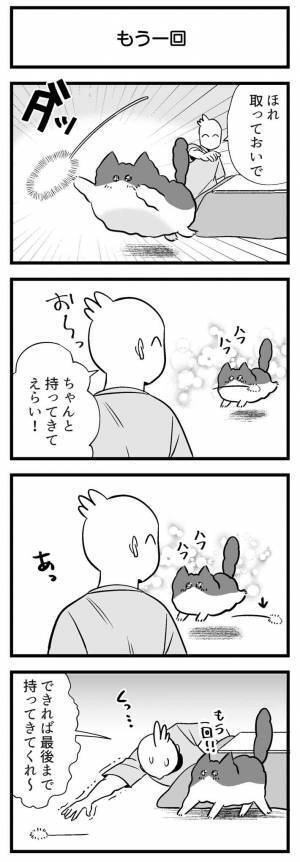 おもちゃで遊ぶ猫　飼い主が「とってこい」をすると？　あっ…