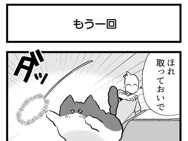 おもちゃで遊ぶ猫　飼い主が「とってこい」をすると？　あっ…